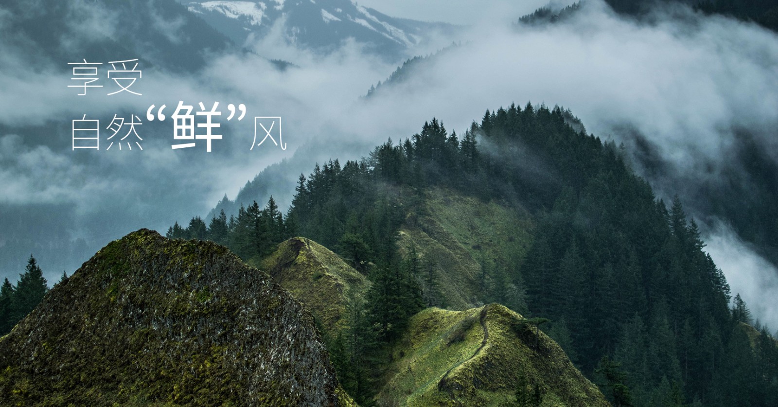 颯多大的、爽.jpg
